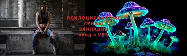 гашик Алексеевка