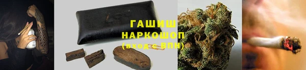 гашик Алексеевка