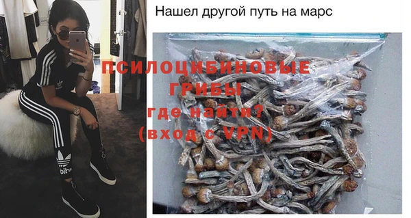 ALPHA PVP Алексин