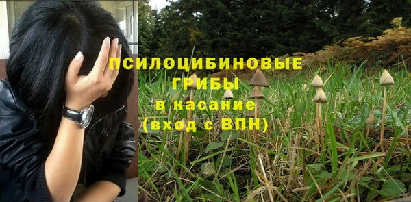 ALPHA PVP Алексин