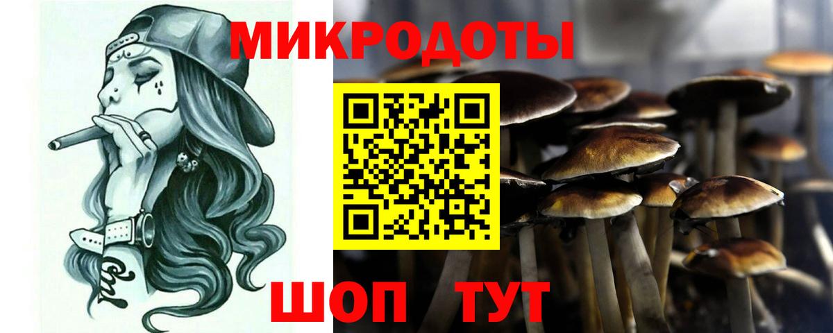 хочу   Псилоцибиновые грибы Psilocybe  Вход с VPN  Гусь-Хрустальный 